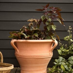 Athena Terracotta Pot