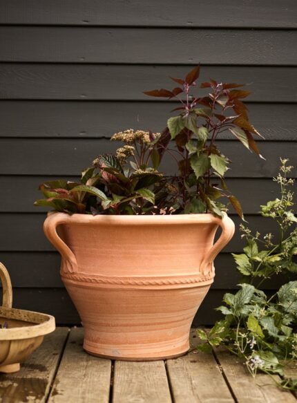 Athena Terracotta Pot