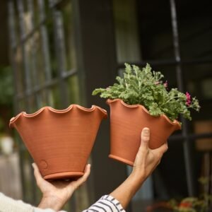 Eden Terracotta Pot