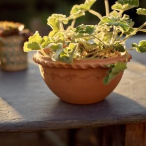 Agni Terracotta Bowl, Small