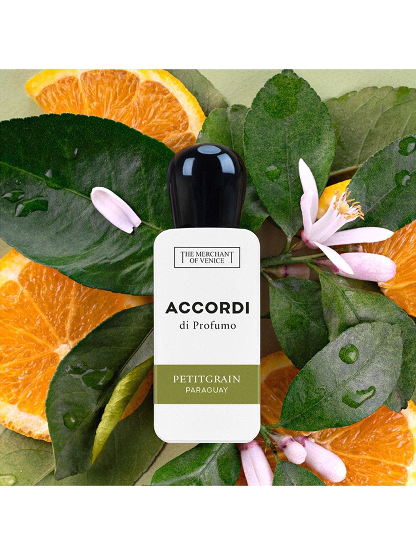 Accordi Di Profumo Petitgrain Paraguay Eau de Parfum 30ml - Image 3