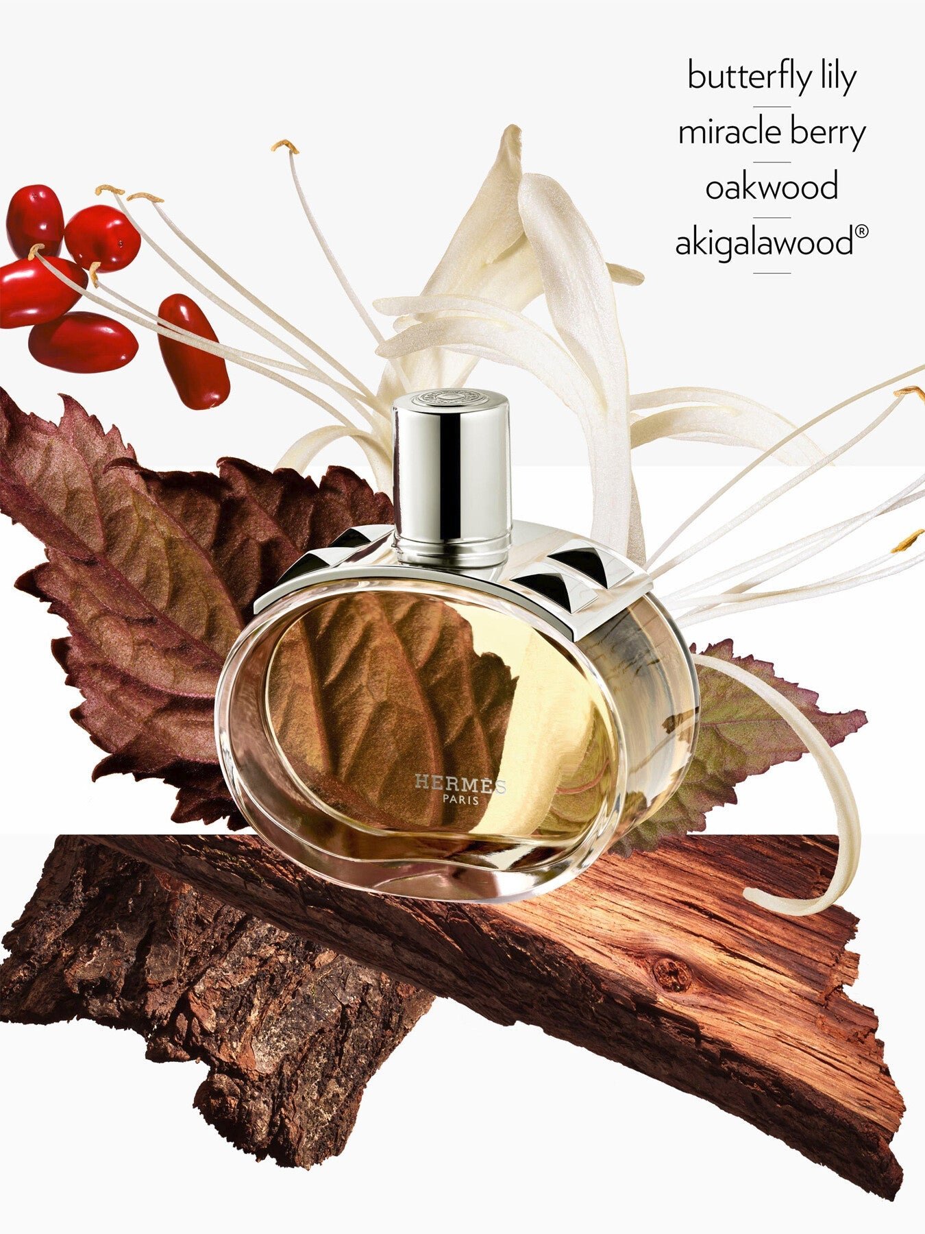 Barénia Eau de Parfum 100ml - Image 6