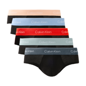 5 Pack Hip Briefs