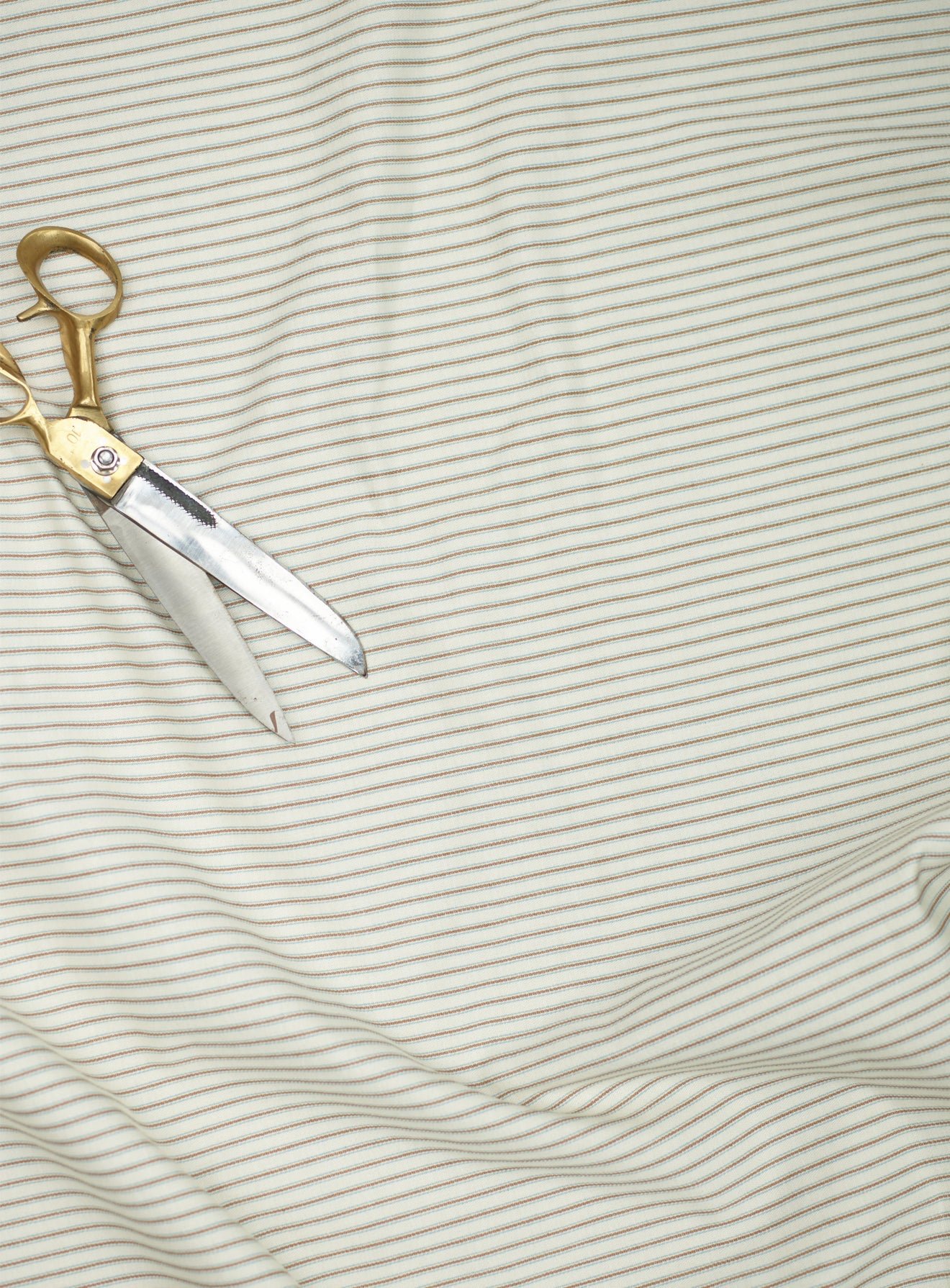 heritage-mole_b5b0c684-2357-44bb-b0e4-dc44500b7734